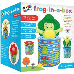 Galt Frog in a Box