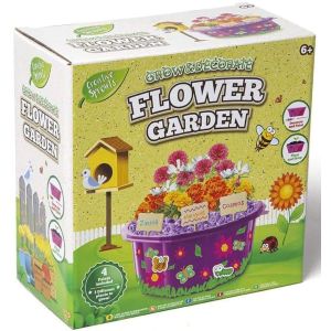 Creative Sprouts Grow and Decorate Flower Garden