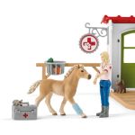 Schleich Farm World Veterinarian Practice with Pets