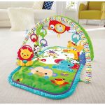 Fisher Price Busy Baby Rainforest Gym