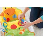Fisher-Price Giraffe Sit-Me-Up Floor Seat With Tray
