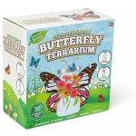 Creative Sprouts Butterfly Terrarium