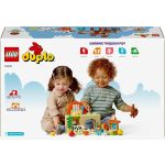 LEGO Duplo Caring for Bees & Beehives 10419