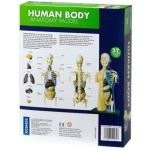 Thames and Kosmos Nature Discovery  Human Body Anatomy