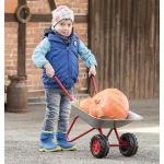 Rolly Toys Child's Silver Metal Wheelbarrow with Double Front Wheel