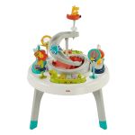 Fisher Price 2-in-1 Sit-to-Stand Activity Centre