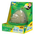 Insect Lore Anthill
