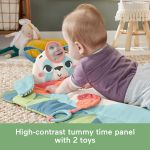 Fisher-Price Roly-Poly Panda Play Mat