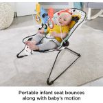 Fisher-Price Navy Signature Style Bouncer