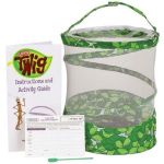 Insect Lore Living Twig Stick Insect Kit
