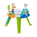 Fisher Price 3 in 1 Spin and Sort Activity Center