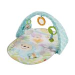 Fisher Price Butterfly Dreams Musical