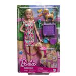 Barbie You Can Be Anything Doll, Pup and Dog in a Wheelchair
