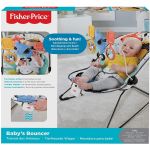Fisher-Price Navy Signature Style Bouncer