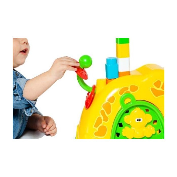 Molto Activity Giraffe