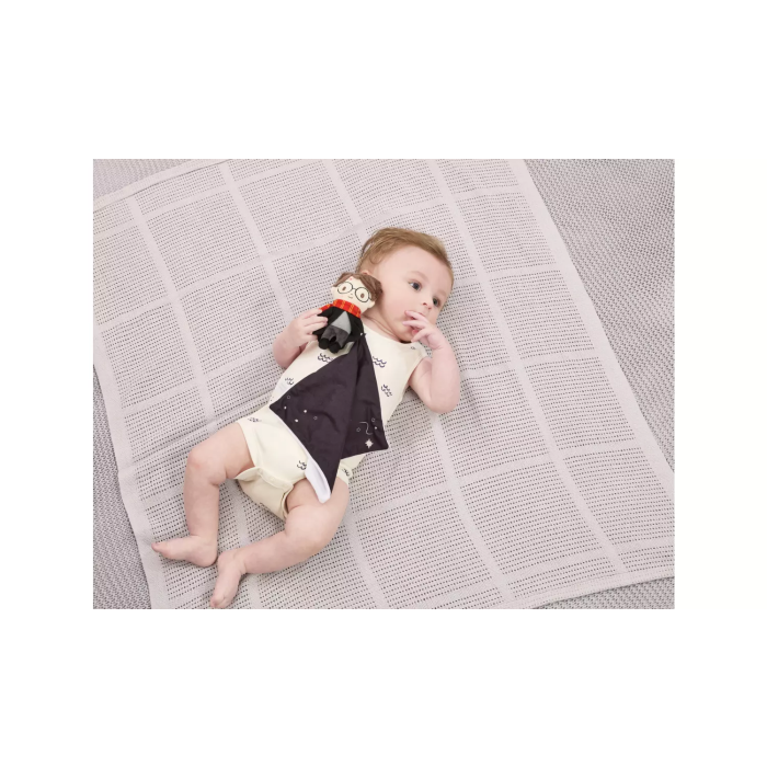 Harry Potter Comfort Blanket