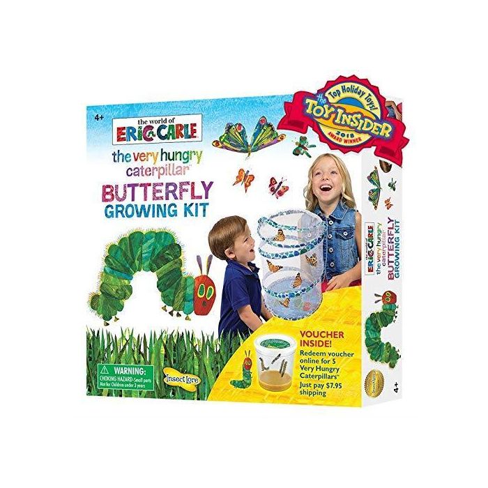Insect Lore Very Hungry Caterpillar Butterfly Raising Kit