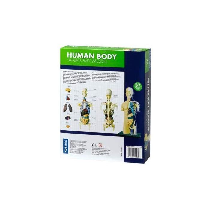 Thames and Kosmos Nature Discovery  Human Body Anatomy
