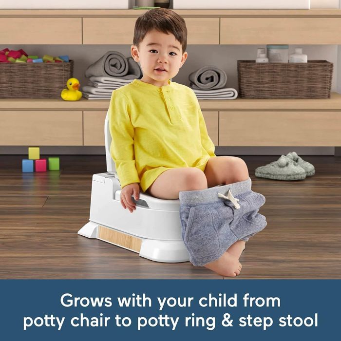Fisher-Price Home Decor 4 in 1 Potty
