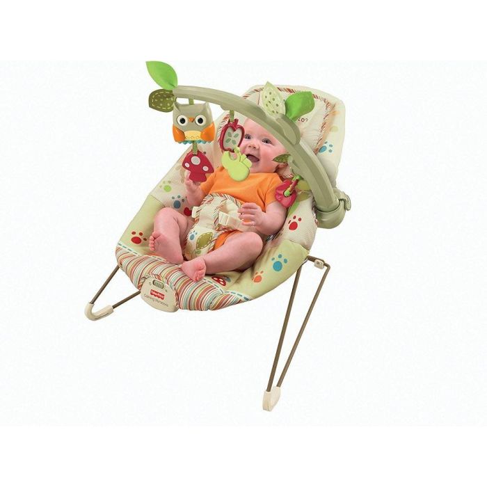 Fisher Price Woodsie Bouncer