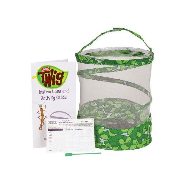 Insect Lore Living Twig Stick Insect Kit