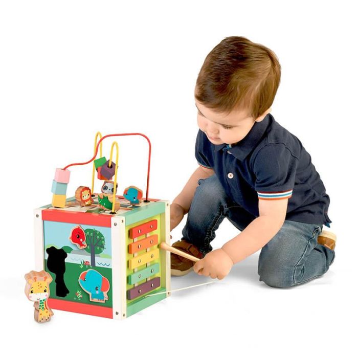 Fisher-Price Wooden Activity Cube