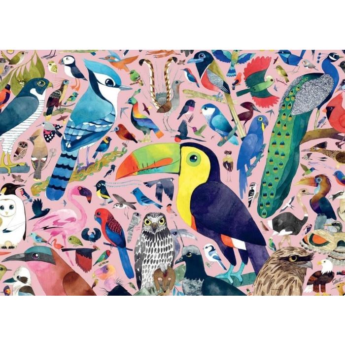 Ravensburger Matt Sewell's Amazing Birds 1000 Piece Puzzle