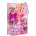 Barbie Dream Besties Malibu Doll Playset