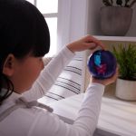 Bitzee Hamster Ball