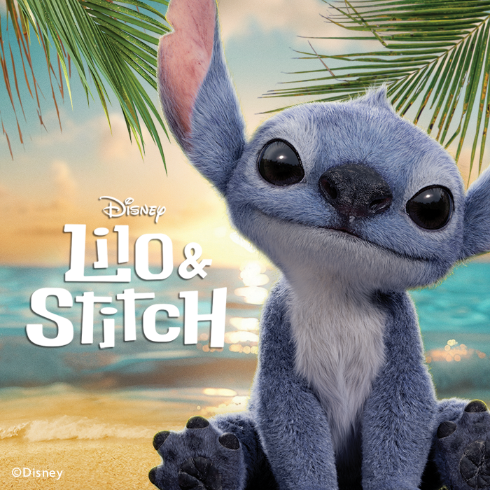 Stitch